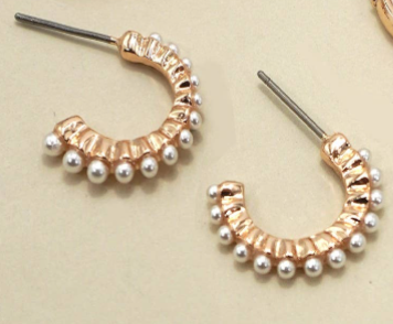 Bows and Hoops Earrings